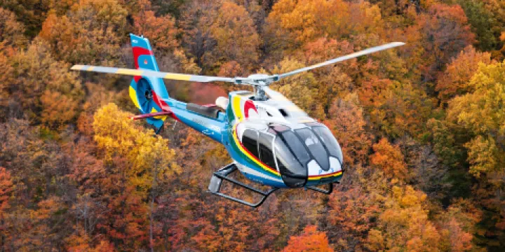 尼亞加拉直升機