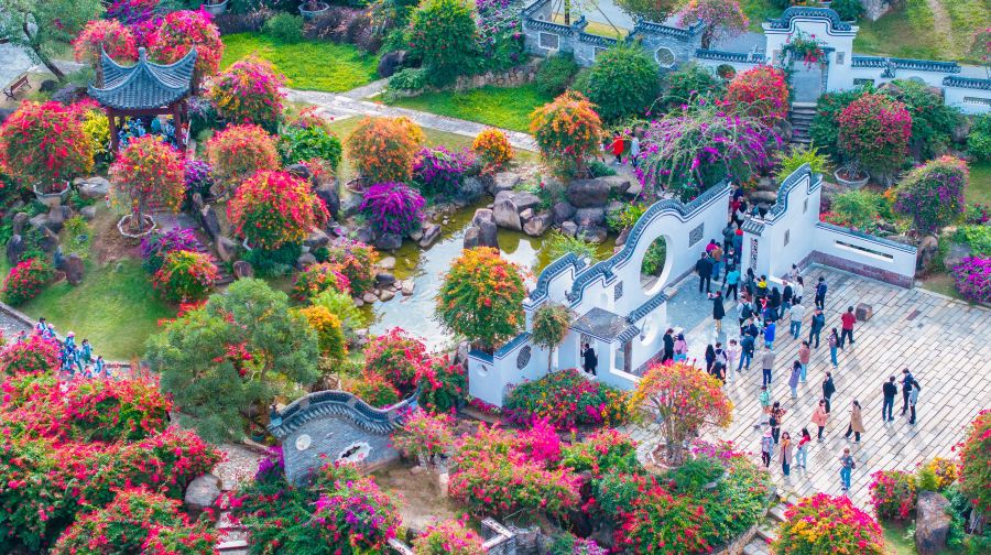马岭观花植物园
