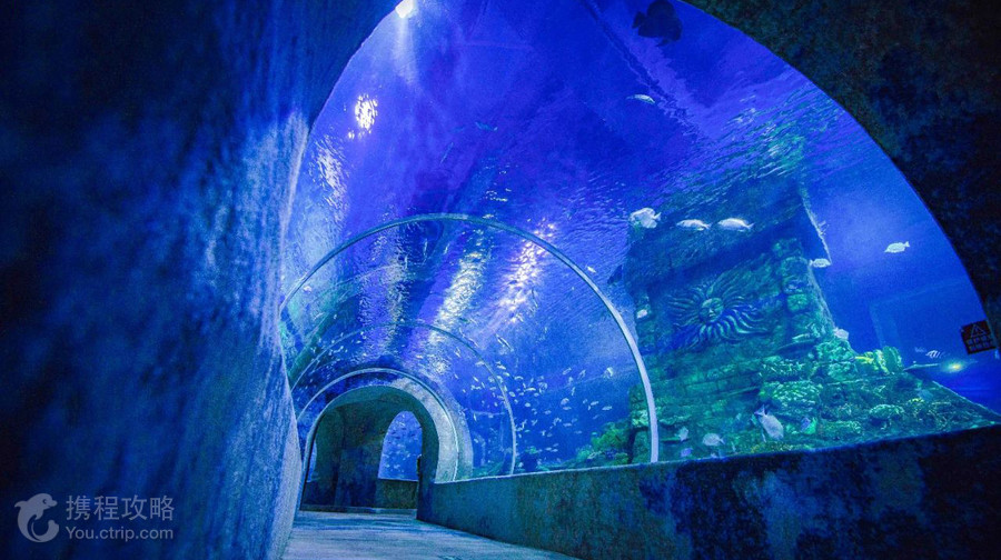 寧夏幻太奇海洋公園