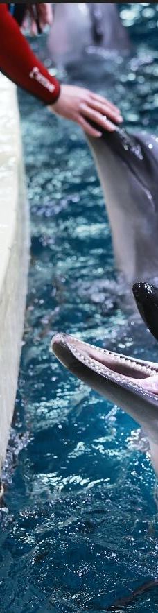 郑州海洋馆-郑州