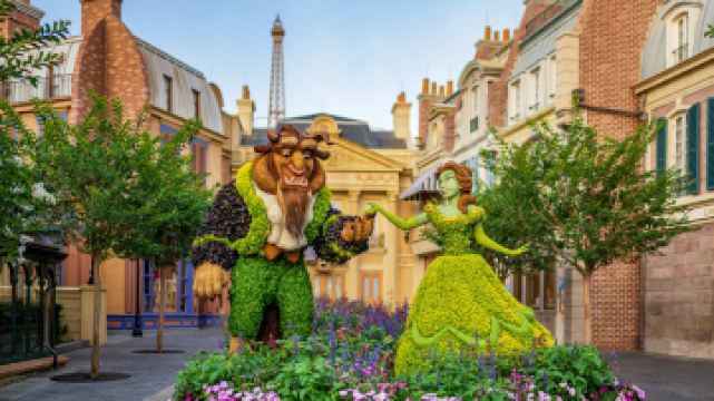 迪士尼艾波卡特