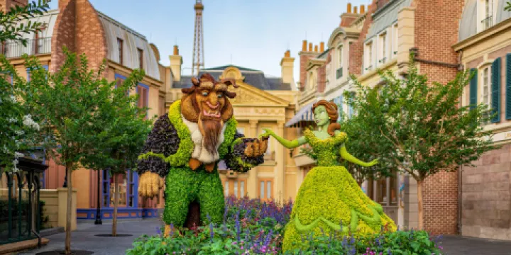 迪士尼艾波卡特