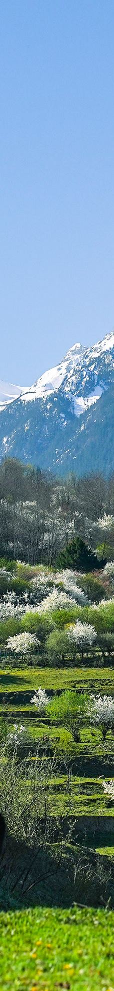 九寨华美胜地旅游度假区-九寨沟