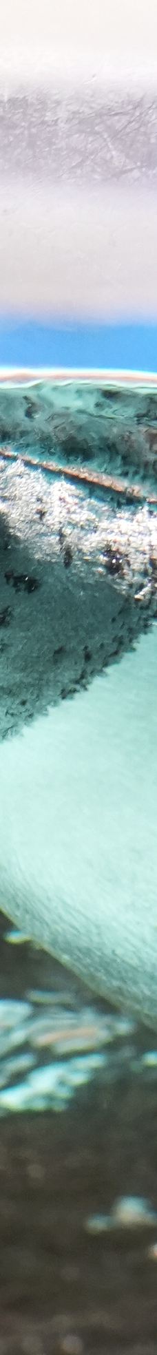 海滨城浩海立方海洋公园-成都