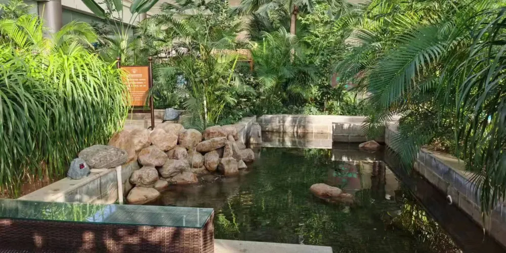 永安旅遊