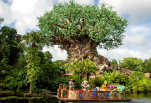 迪士尼动物王国景点图片