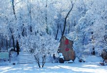 鲁山国家森林公园景点图片