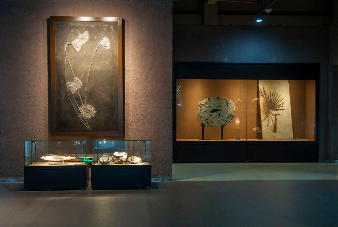 Gallery 1