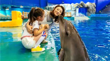 Weihai Shenyou Ocean World