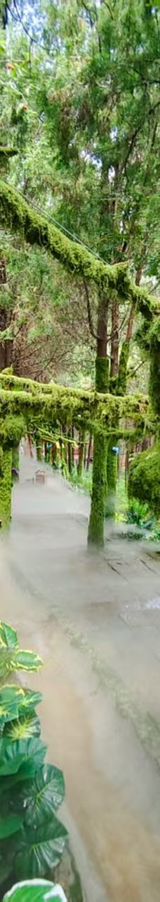 龟山望龙洞风景区-枣庄