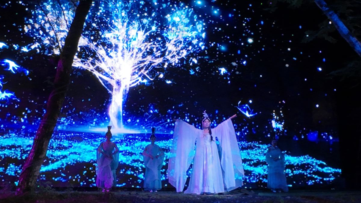 《寻仙记》大型沉浸式森林夜游实景演出