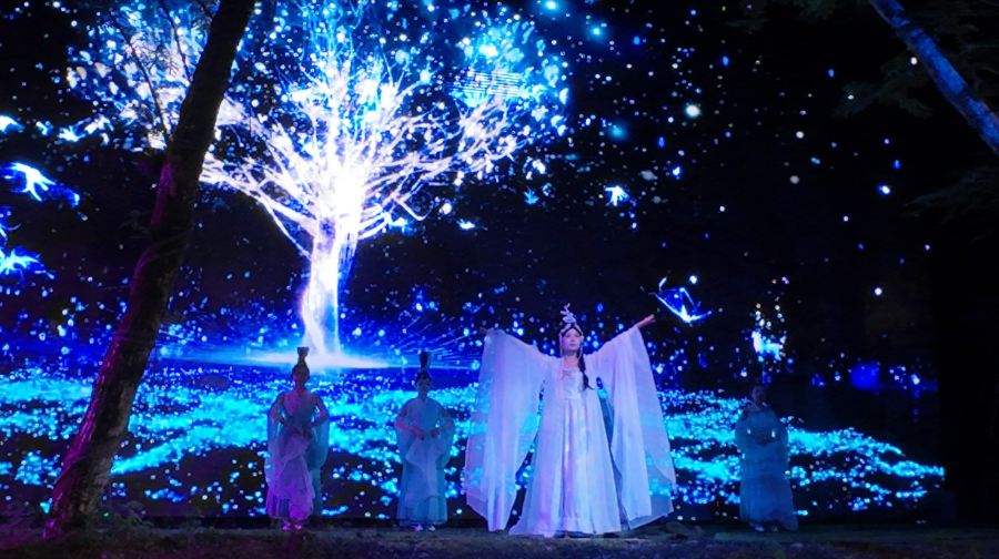 《寻仙记》大型沉浸式森林夜游实景演出