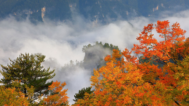 川西秘境攻略：稻城亚丁四姑娘山，成都出发纯玩