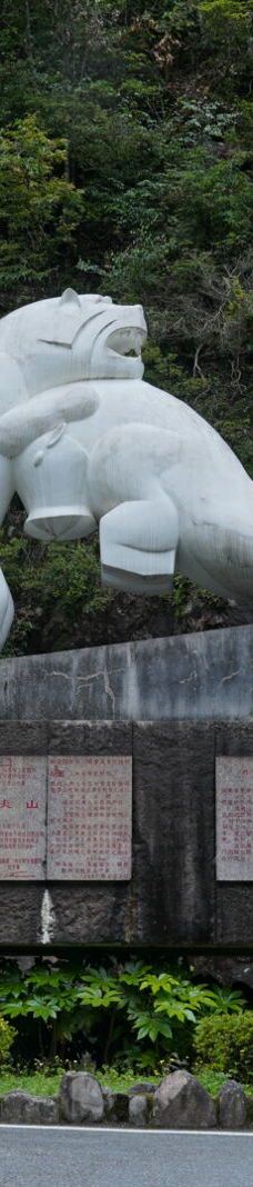 武夷山国家公园1号风景道-武夷山