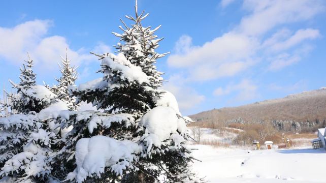 威虎山国家森林公园