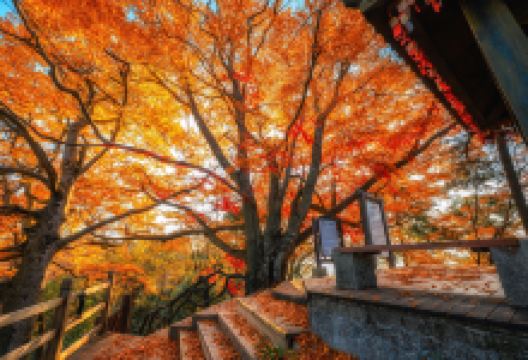 光雾山旅游景区景点图片