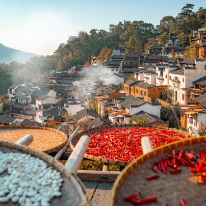 婺源+婺源篁岭景区+李坑景区+婺源月亮湾+思溪延村+彩虹桥+大鄣山卧龙谷+三清山风景区5日4晚私家团