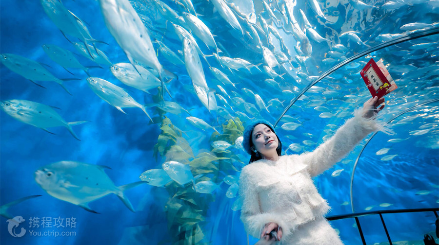 上海海洋水族館