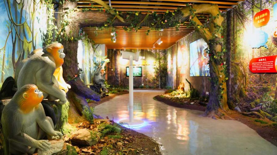 龙池坪生物多样性研学基地