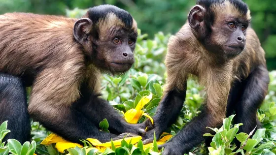 柳岸野生動物保護區