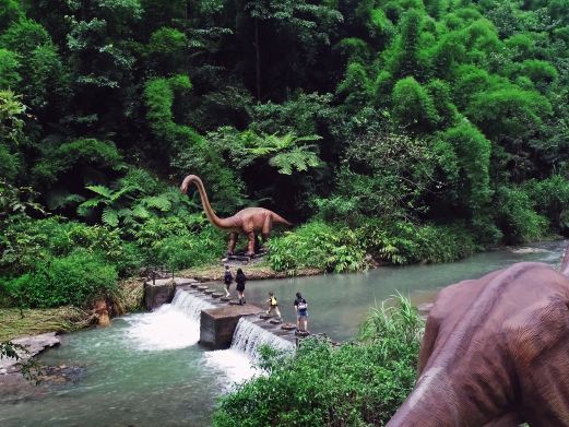 嘉阳桫椤湖旅游景区