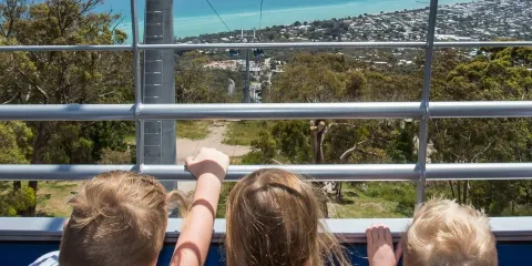 亞瑟座椅鷹纜車