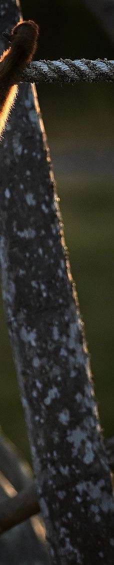 SAFARI LAGOI BINTAN-民丹岛