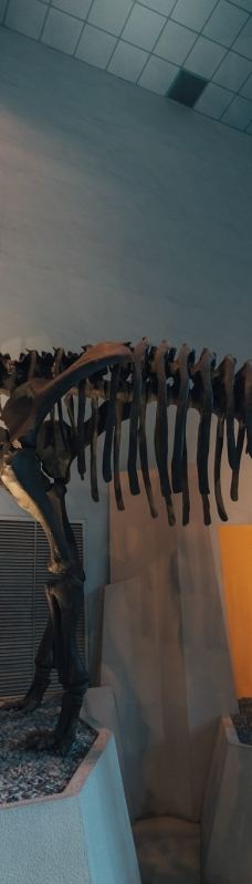 台湾自然科学博物馆-台中