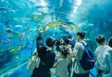 罗源湾海洋世界景点图片