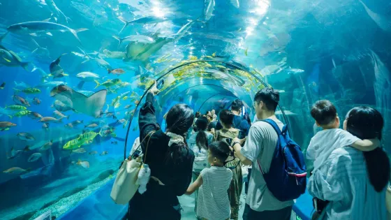 羅源灣海洋世界