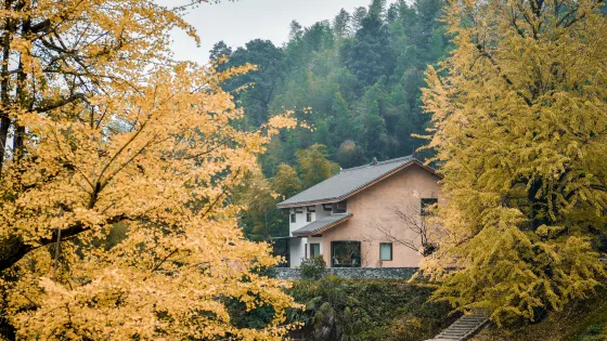 高嶺宿集