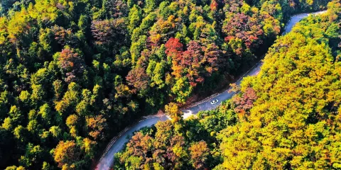 平天山國家森林公園