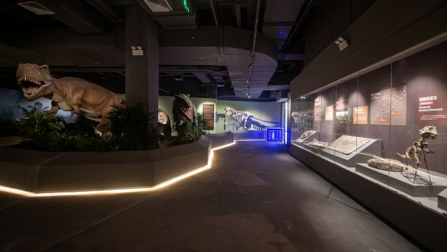 Gallery 2