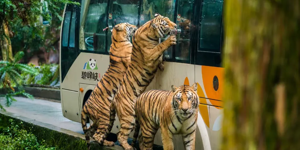 永安旅遊