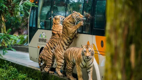 碧峯峽野生動物世界