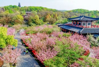 三国城+水浒城+太湖仙岛+太湖鼋头渚风景区一日游【三国城+水浒城+太湖鼋头渚一日游（包含门票）全程纯玩，不进购物店，天天发团】