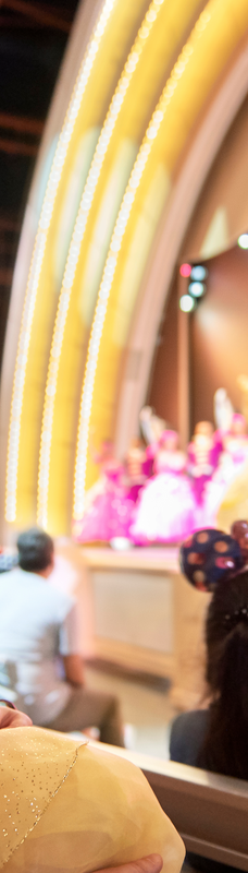 迪士尼好莱坞影城-湾湖