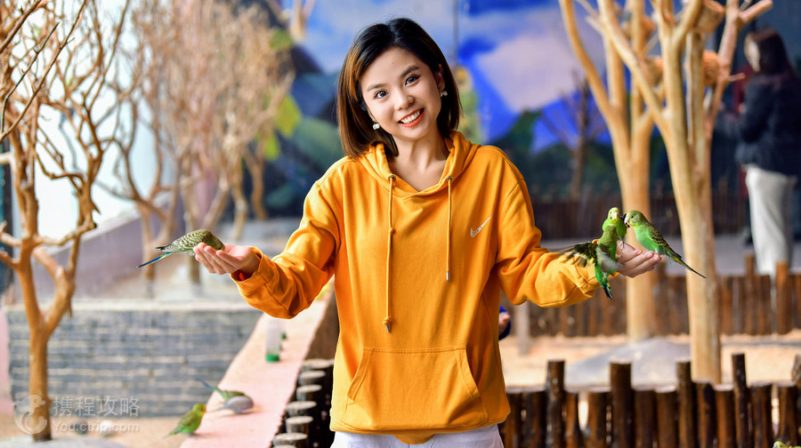 順德南宏海洋公園