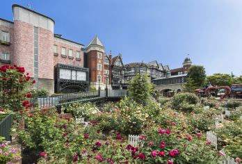 旭山动物园+美瑛+四季彩之丘一日游【北海道包车游 】【[当地中文司导，行程可调，详情请咨询客服]】