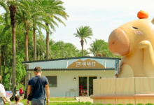 埔心牧场景点图片