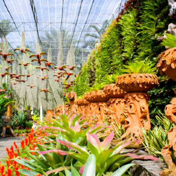 泰国曼谷+芭堤雅+沙美岛7日6晚拼小团