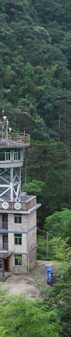 武夷山国家公园1号风景道-武夷山