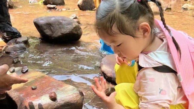基诺山巴朵村雨林徒步