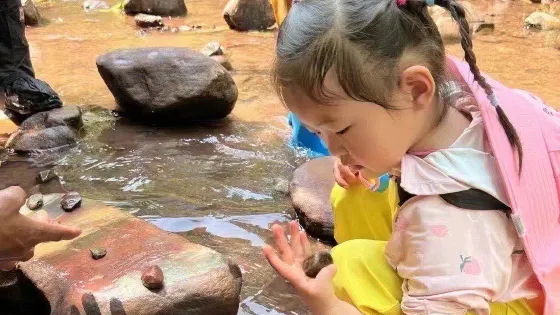 基諾山巴朵村雨林徒步