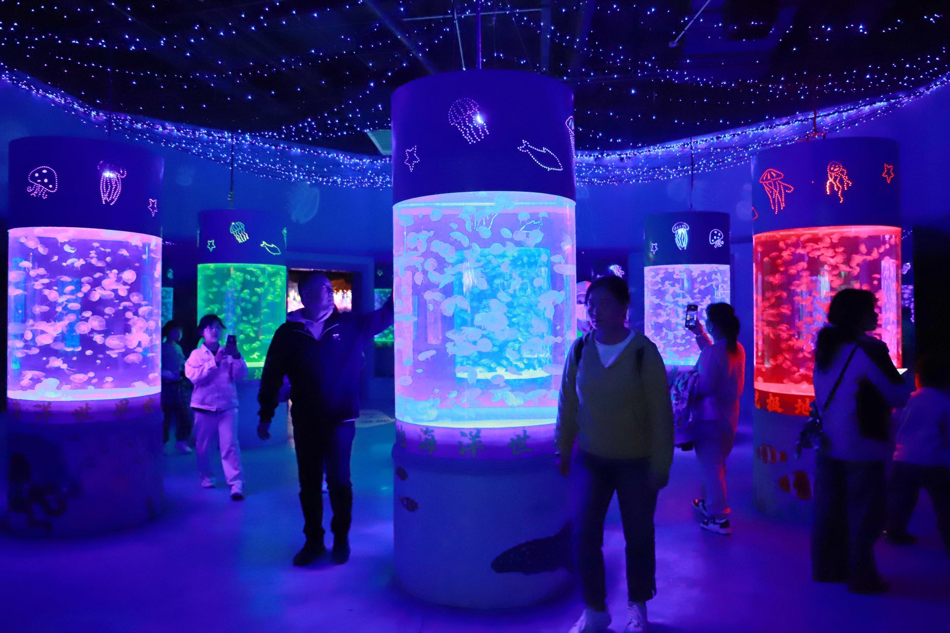 寿光极地海洋世界景点图片