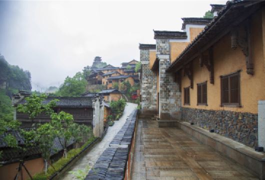 望仙谷半日游（婺源起止）【纯玩无购物】