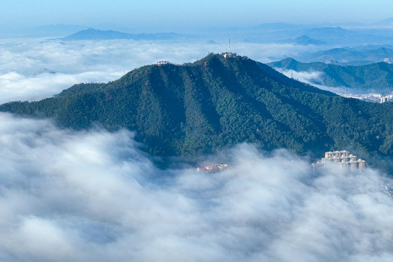 金象山森林公园景点图片