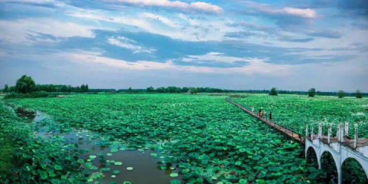 洪湖生態旅遊區