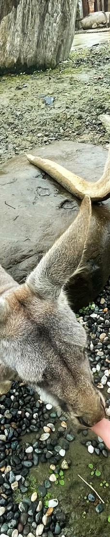 兰阳动植物王国-宜兰