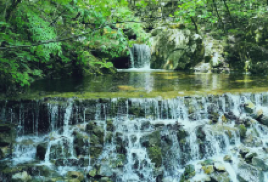 青峰峡森林公园景点图片